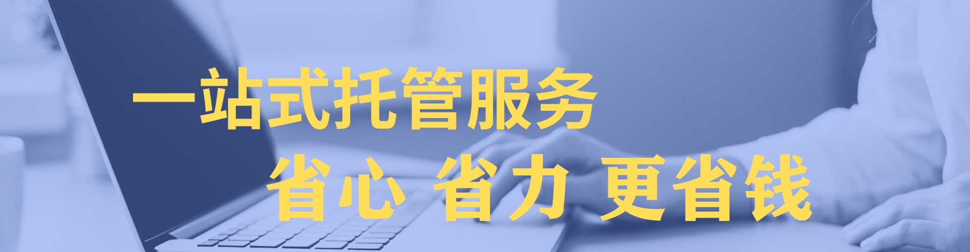 东洲sem专员